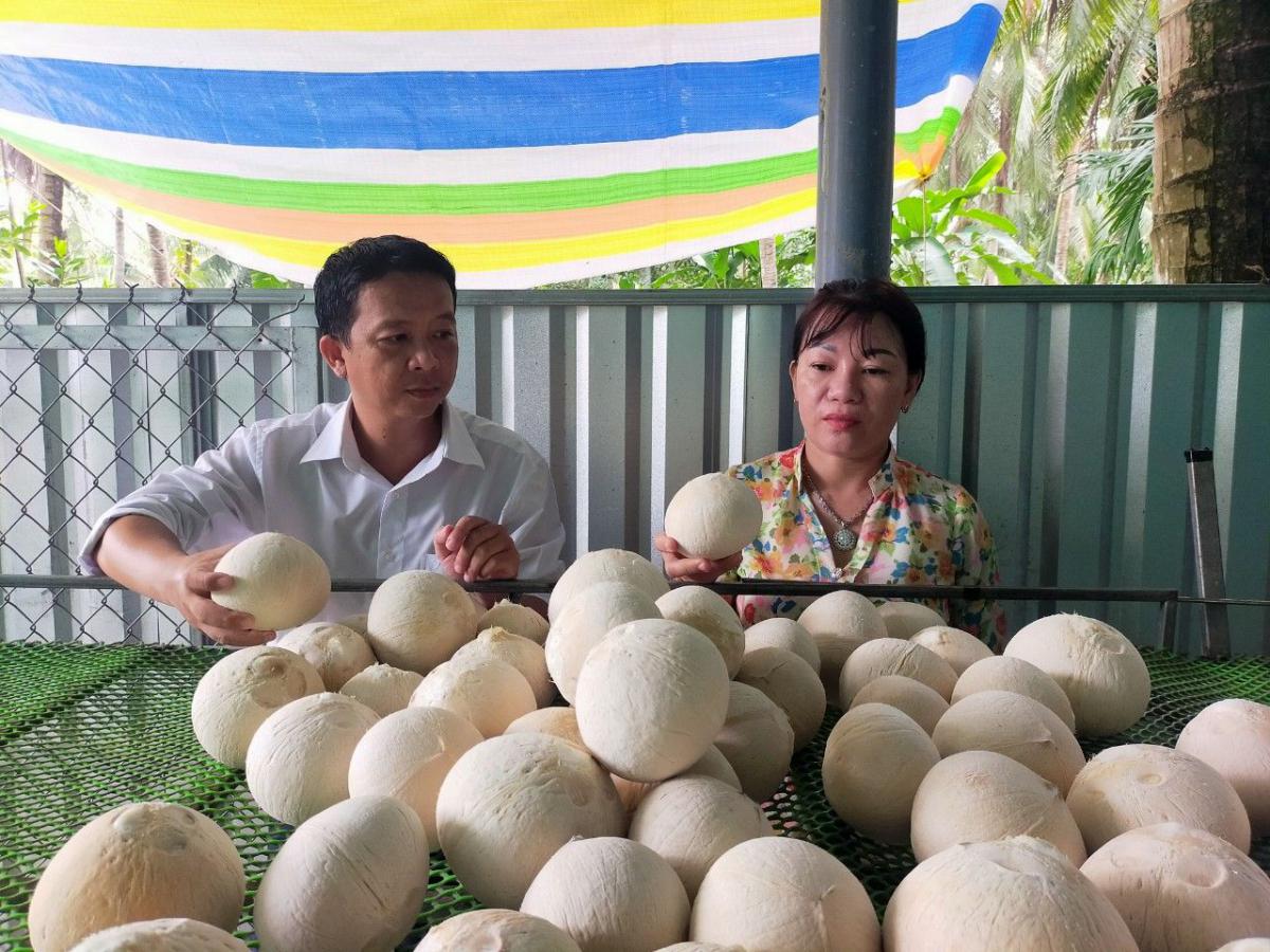 Chị Nguyễn Thị Kim Xa- giới thiệu sản phẩm khởi nghiệp “Dừa xiêm xanh”.