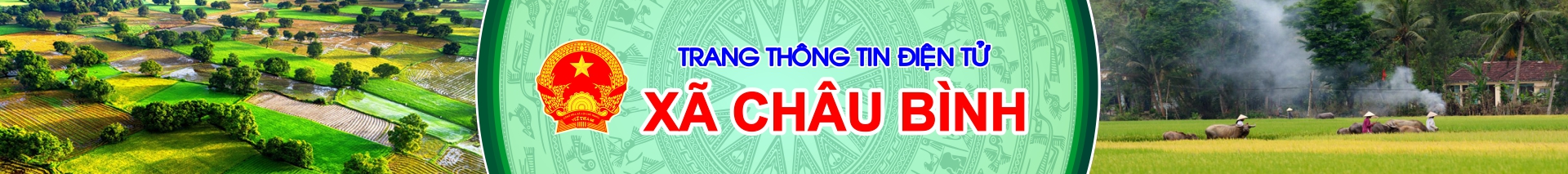 Site banner